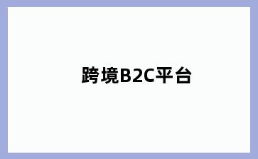 跨境B2C平台