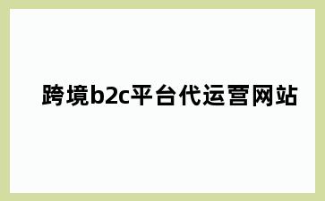 跨境b2c平台代运营网站