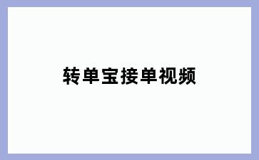 转单宝接单视频