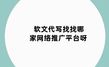 软文代写找找哪家网络推广平台呀