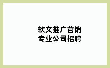 软文推广营销专业公司招聘