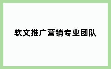 软文推广营销专业团队