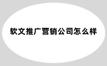 软文推广营销公司怎么样