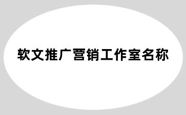 软文推广营销工作室名称