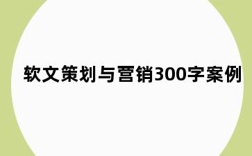 软文策划与营销300字案例