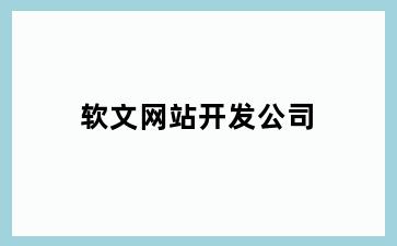 软文网站开发公司