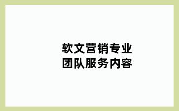 软文营销专业团队服务内容