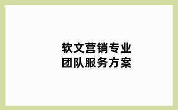 软文营销专业团队服务方案