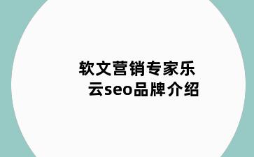 软文营销专家乐云seo品牌介绍