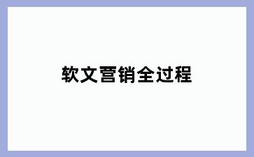 软文营销全过程