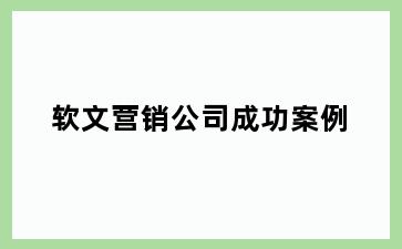 软文营销公司成功案例