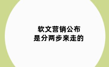 软文营销公布是分两步来走的