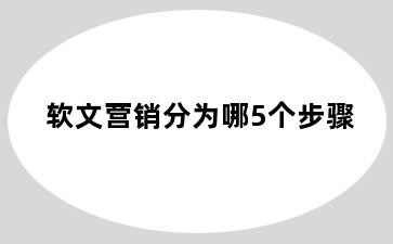软文营销分为哪5个步骤