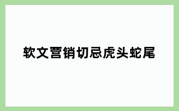 软文营销切忌虎头蛇尾