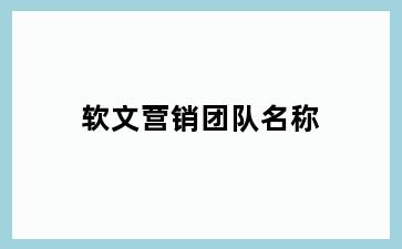 软文营销团队名称