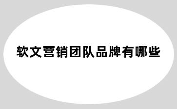 软文营销团队品牌有哪些
