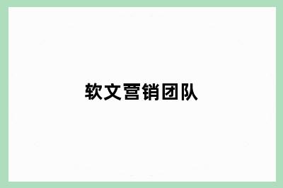 软文营销团队