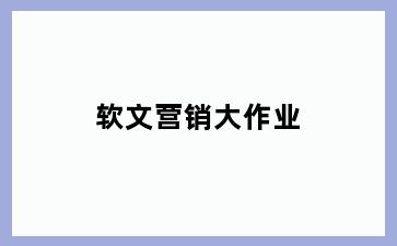 软文营销大作业