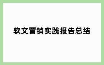 软文营销实践报告总结