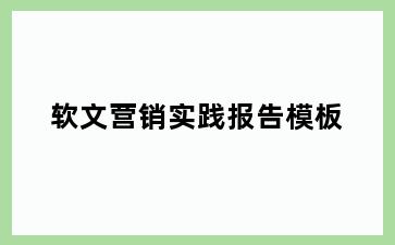 软文营销实践报告模板