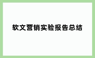 软文营销实验报告总结