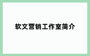 软文营销工作室简介