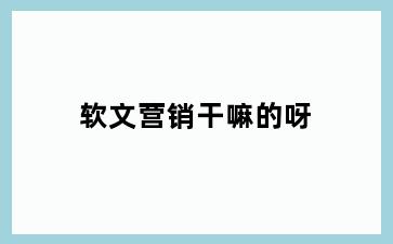 软文营销干嘛的呀