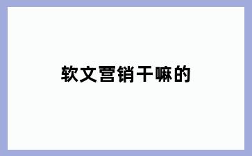 软文营销干嘛的