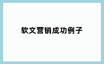 软文营销成功例子