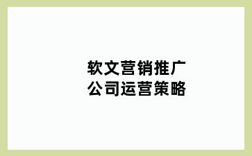 软文营销推广公司运营策略