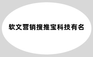 软文营销搜推宝科技有名