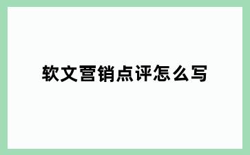 软文营销点评怎么写
