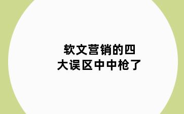 软文营销的四大误区中中枪了