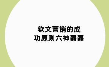 软文营销的成功原则六神磊磊