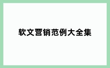 软文营销范例大全集