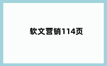 软文营销114页