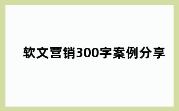 软文营销300字案例分享