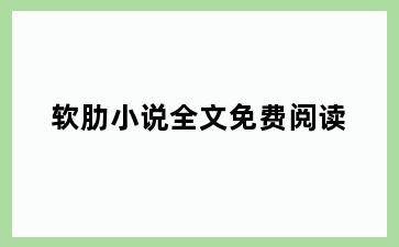 软肋小说全文免费阅读