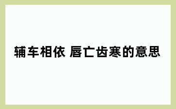 辅车相依 唇亡齿寒的意思