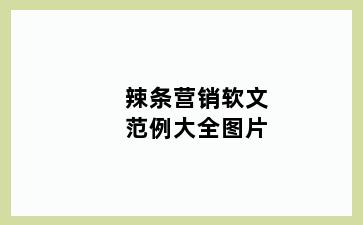 辣条营销软文范例大全图片