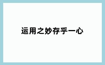 运用之妙存乎一心