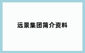 远景集团简介资料