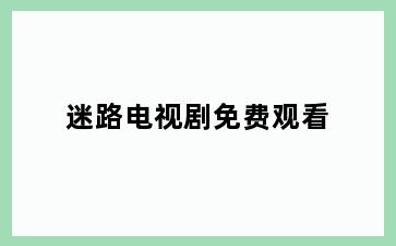 迷路电视剧免费观看