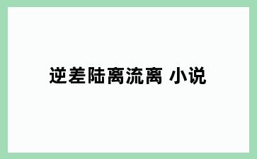 逆差陆离流离 小说