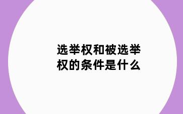 选举权和被选举权的条件是什么
