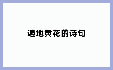 遍地黄花的诗句