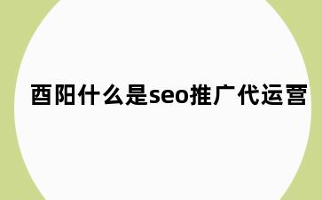 酉阳什么是seo推广代运营