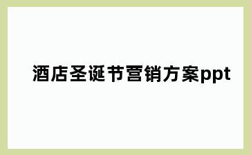 酒店圣诞节营销方案ppt