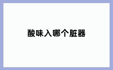 酸味入哪个脏器