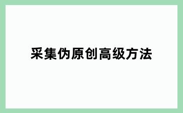 采集伪原创高级方法